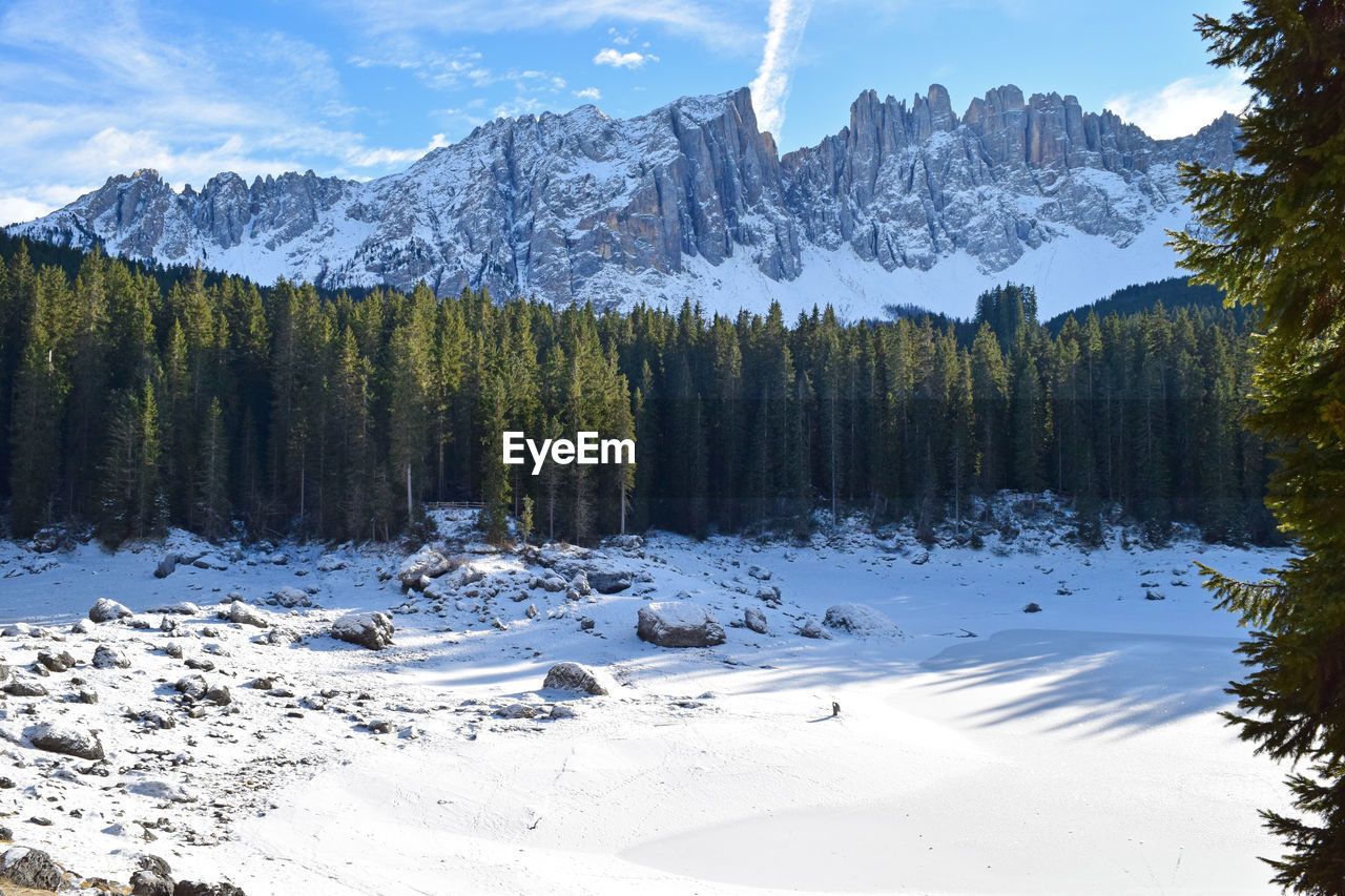 Idyllic shot of trees on snow covered landscape against mountains