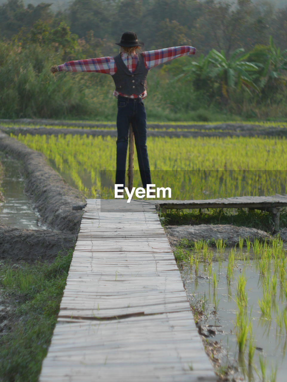 Scarecrow on field