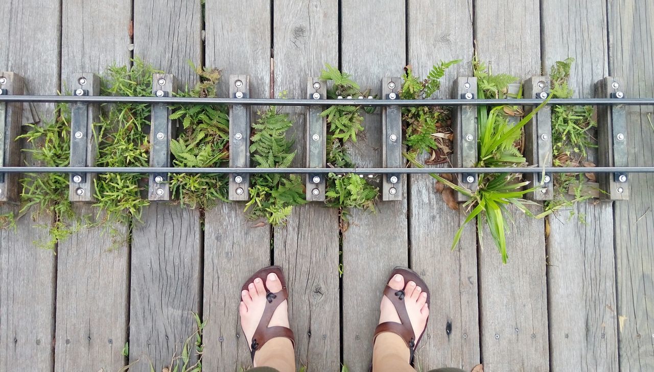 DIRECTLY ABOVE SHOT OF WOMAN STANDING BY PLANTS