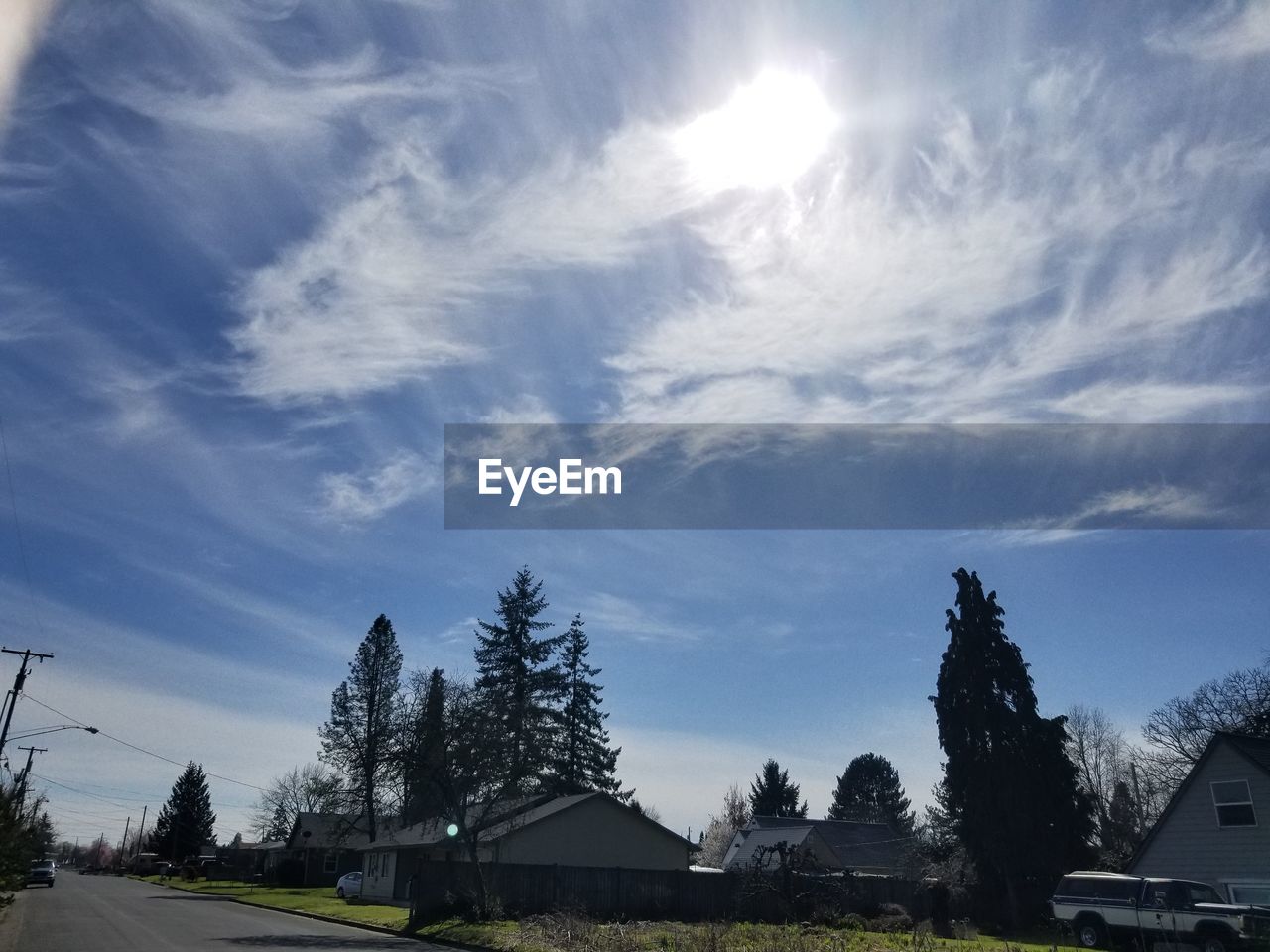 SCENIC VIEW OF TREES AGAINST SKY