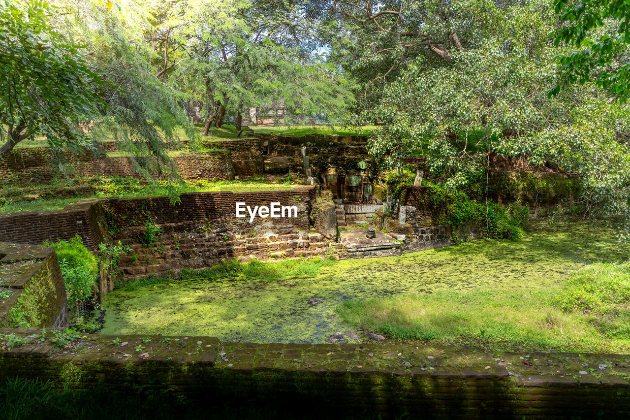 scenic view of lake in forest