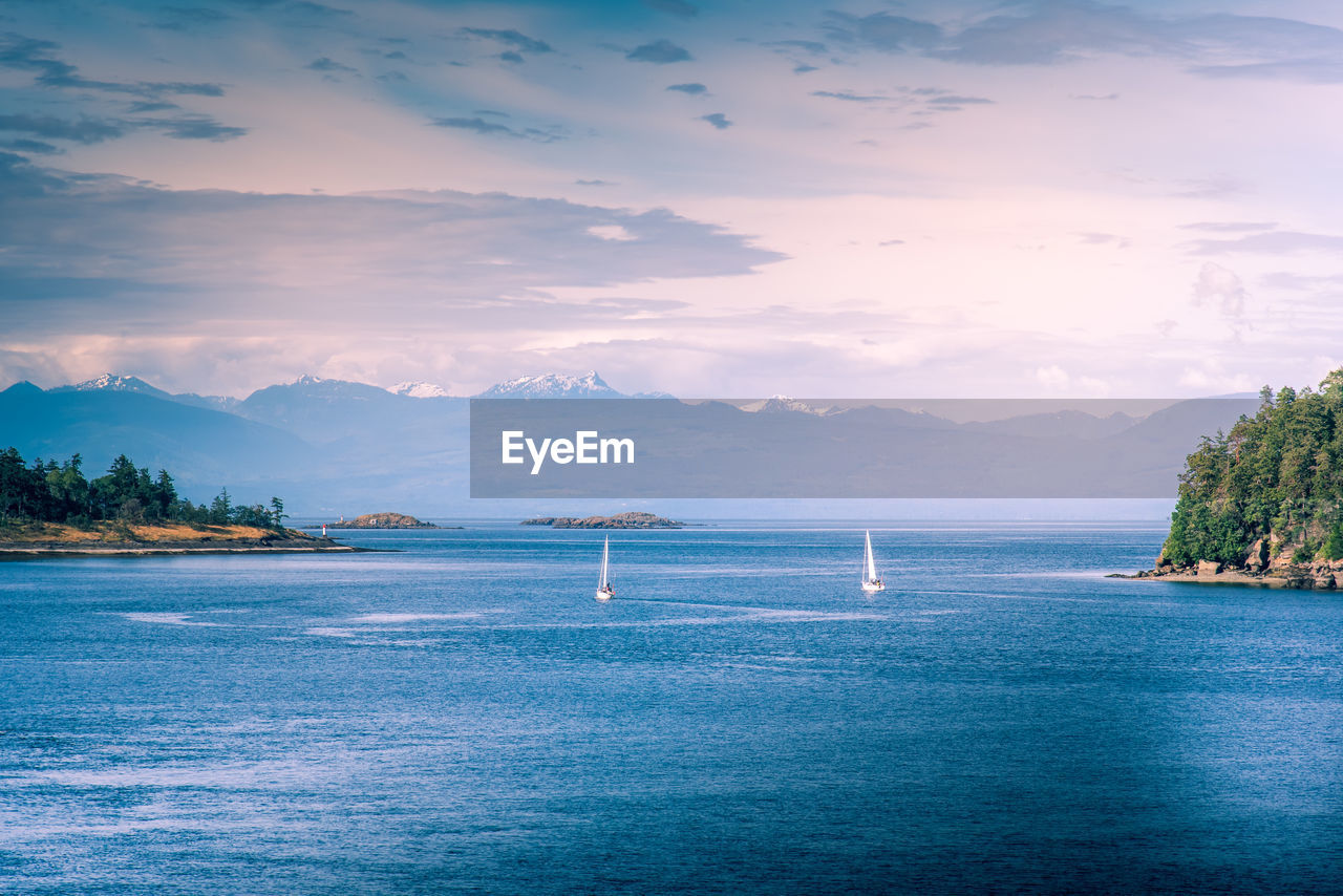 View of sailing boats from the harbour in nanaimo