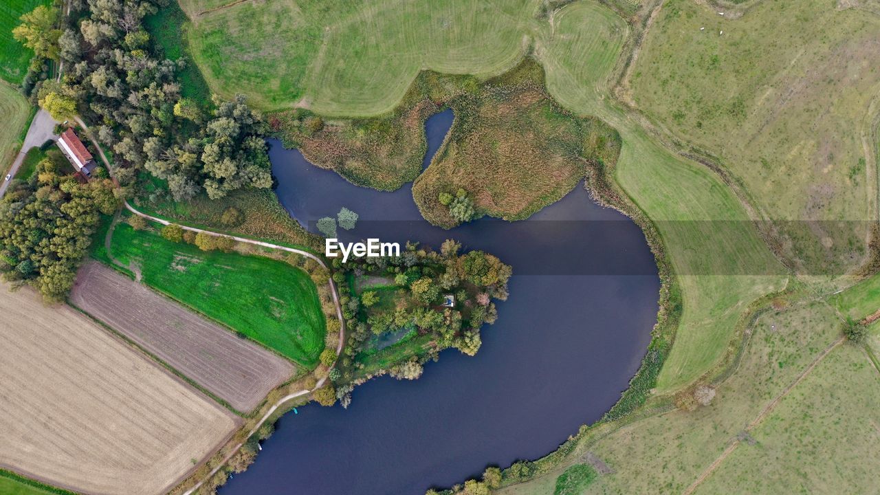 HIGH ANGLE VIEW OF TREE ON FIELD