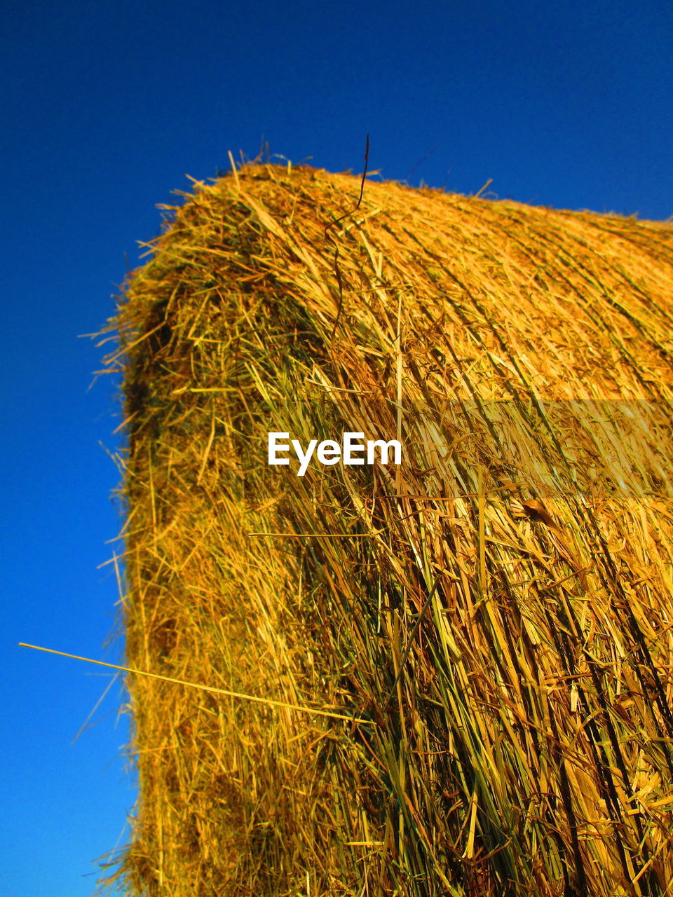 LOW ANGLE VIEW OF HAY BALES ON FIELD AGAINST BLUE SKY