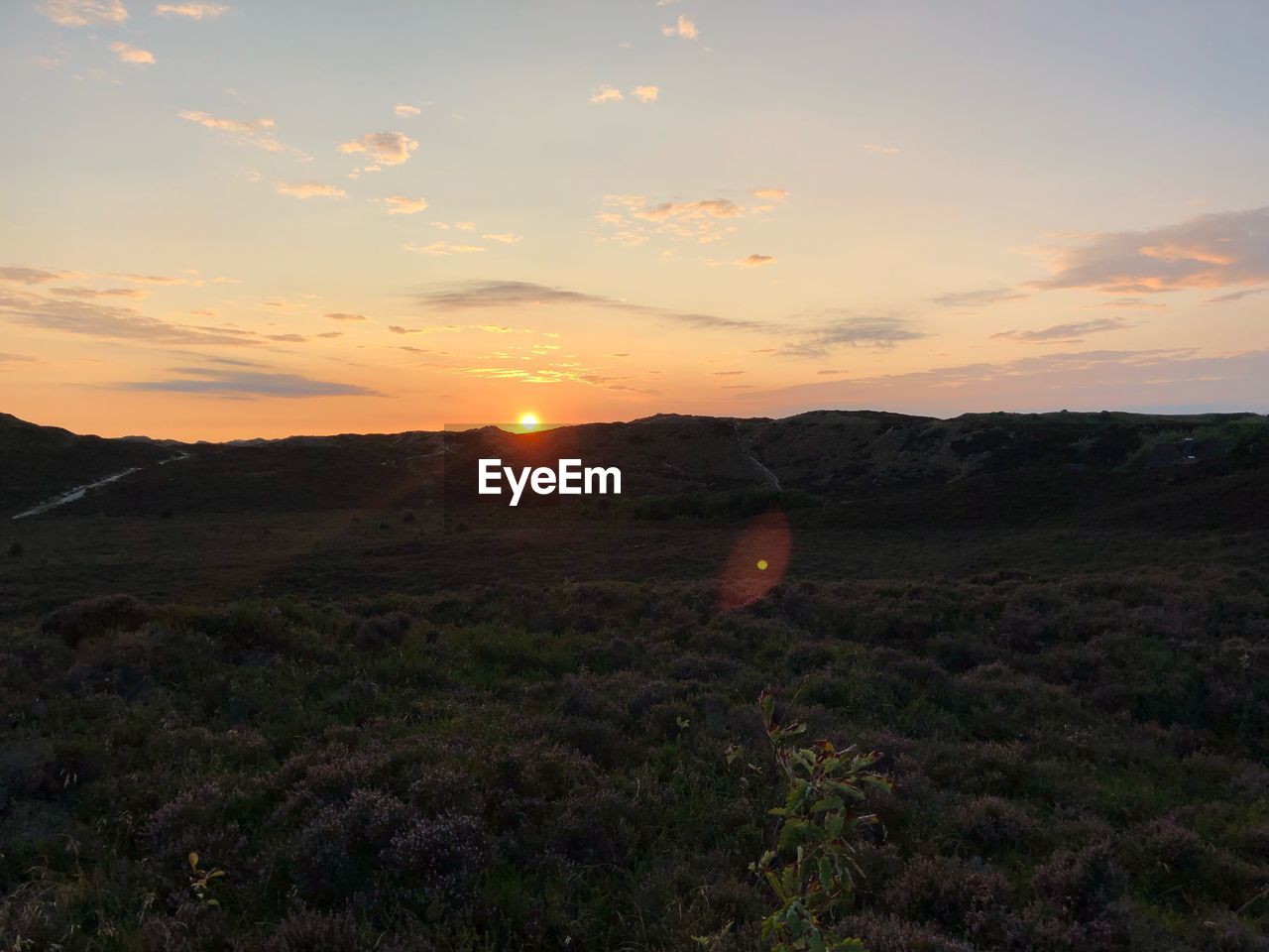 SCENIC VIEW OF FIELD DURING SUNSET