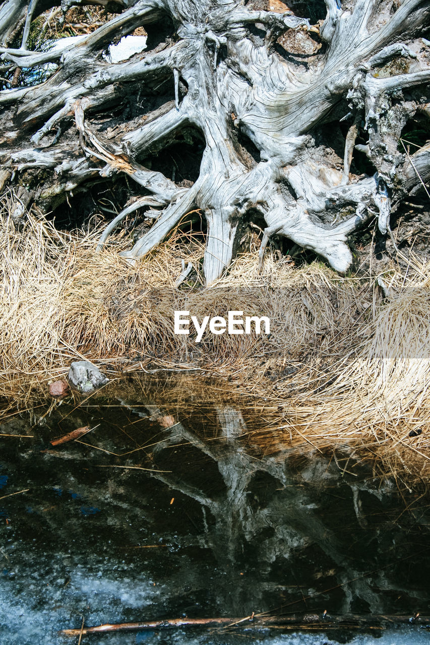 HIGH ANGLE VIEW OF WATER FLOWING IN RIVER