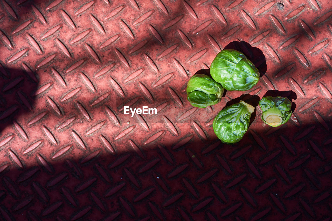 Directly above shot of brussels sprout on diamond plate