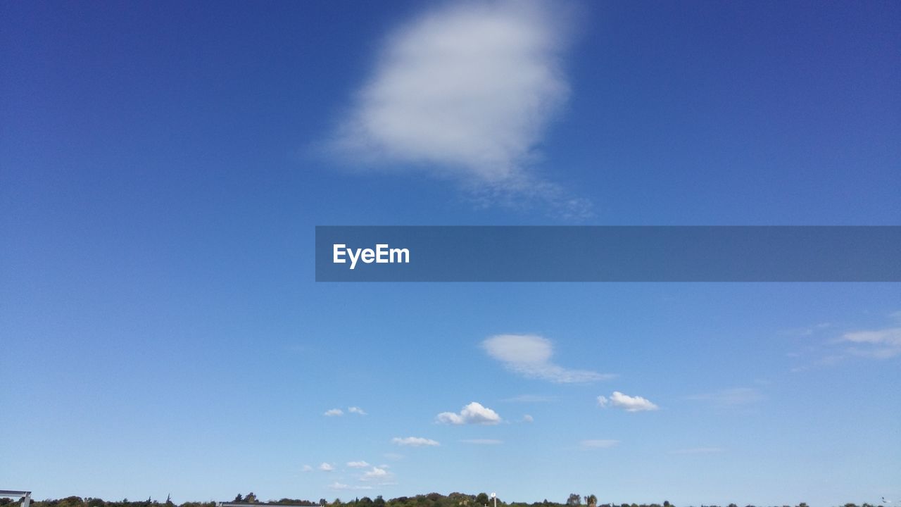 LOW ANGLE VIEW OF TREES AGAINST BLUE SKY