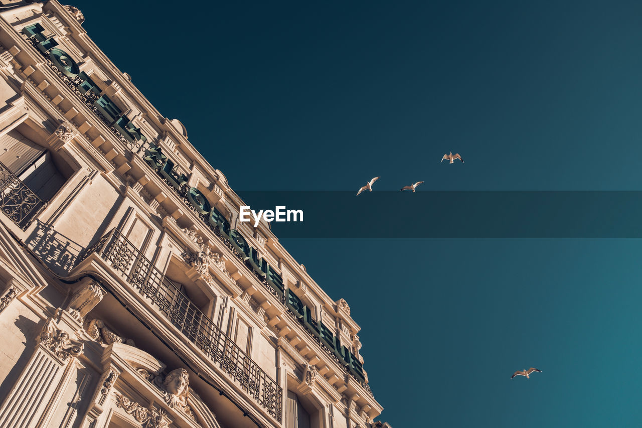 Low angle view of birds flying in sky