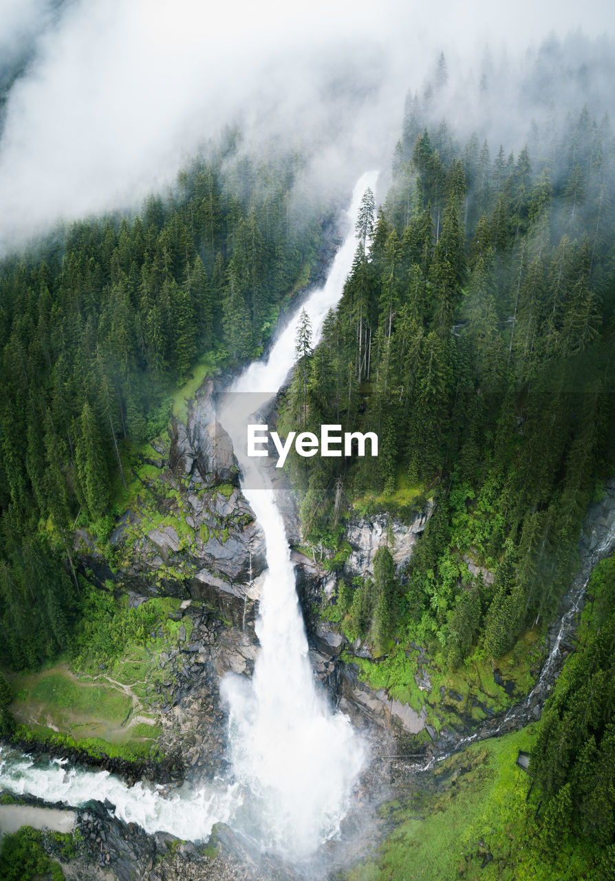 Scenic view of waterfall in forest