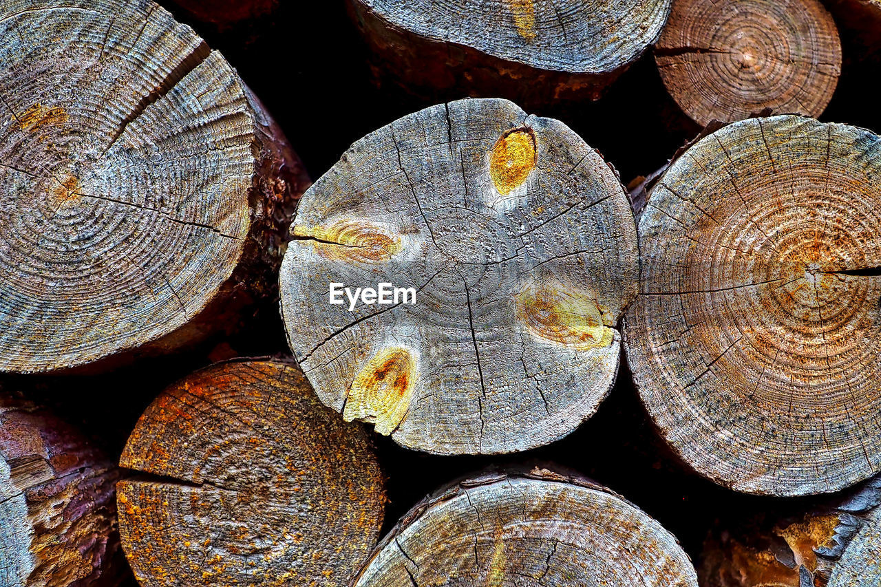 FULL FRAME SHOT OF FIREWOOD