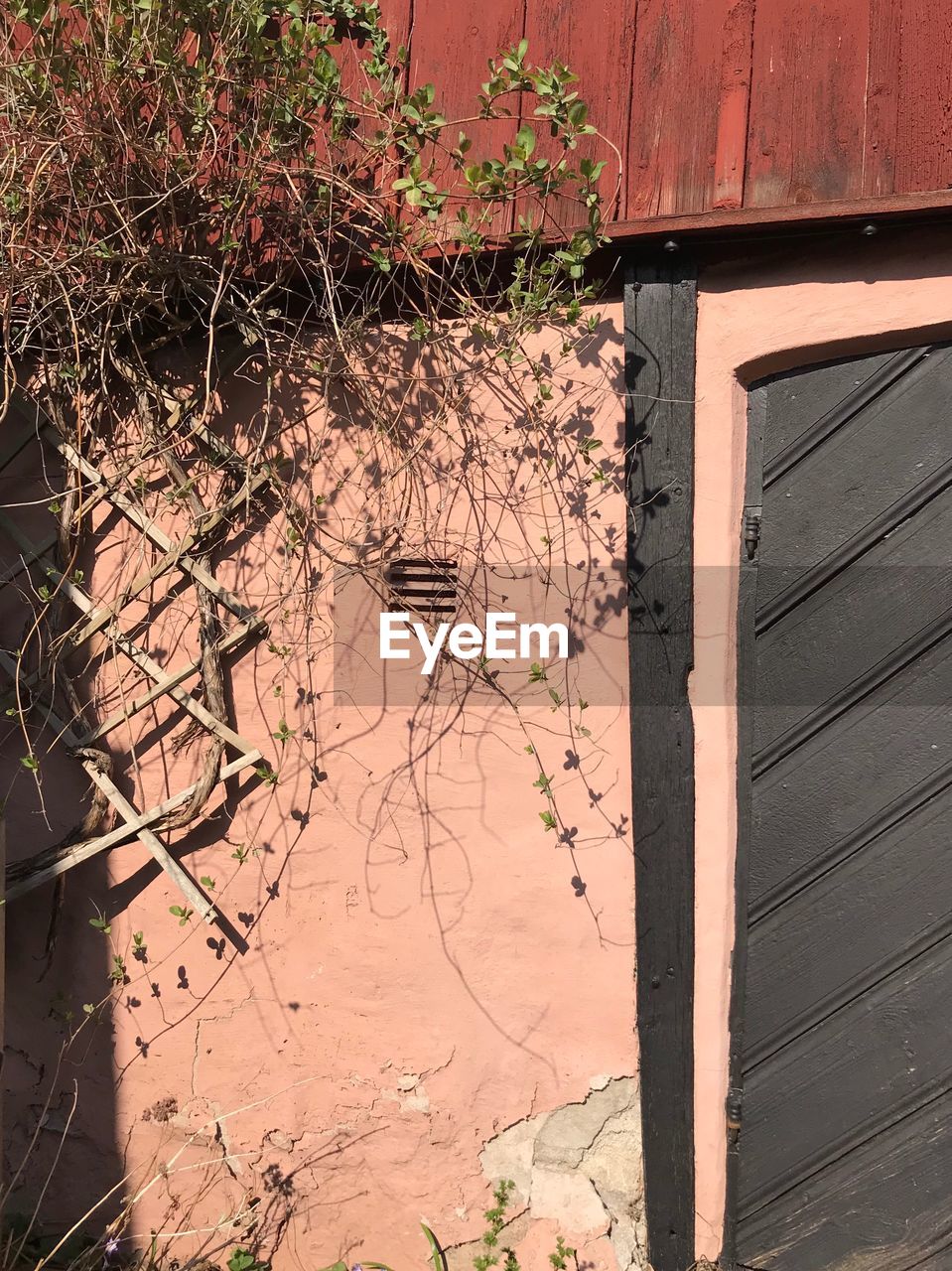 SHADOW OF TREE ON BUILDING