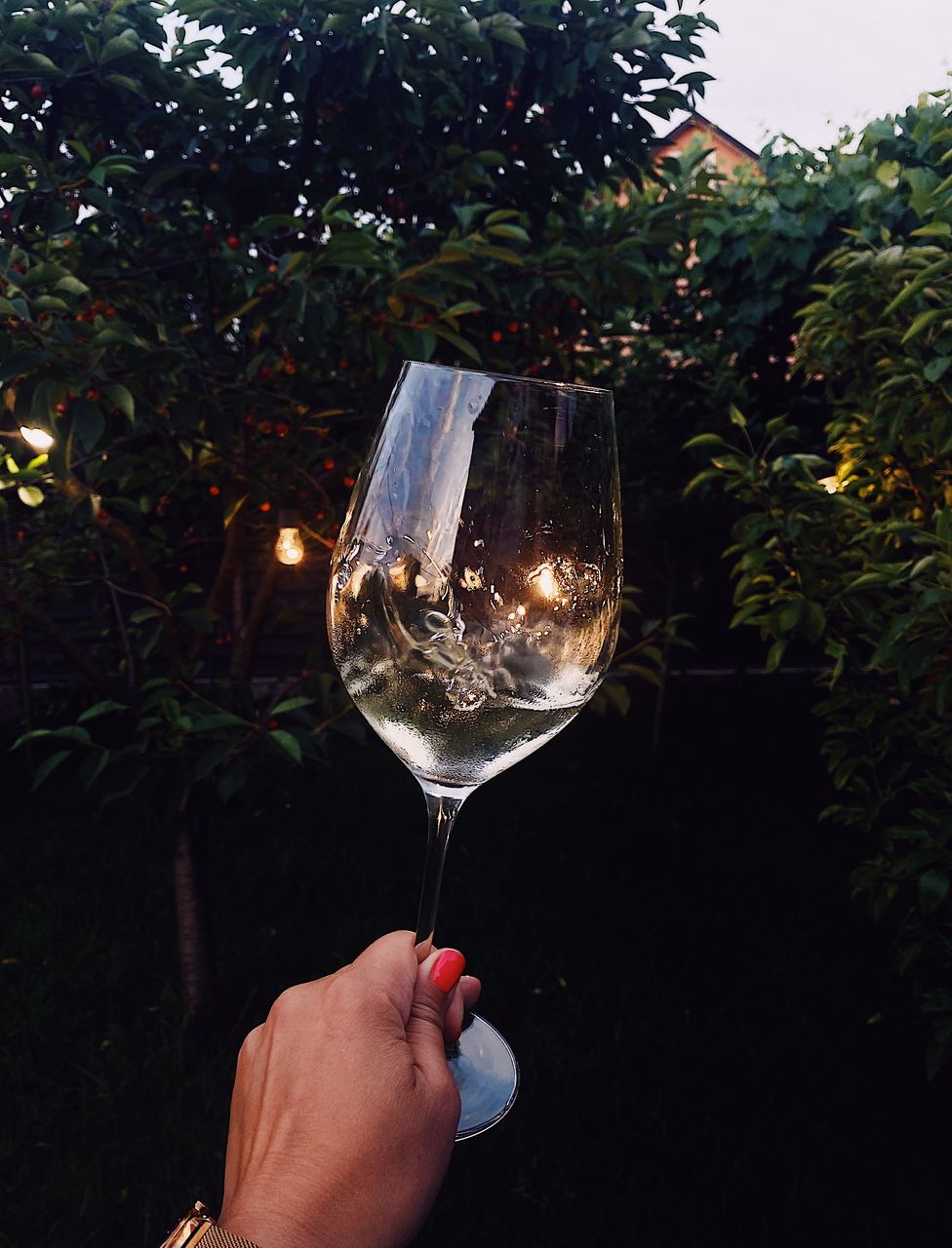 cropped hand of woman holding wineglass