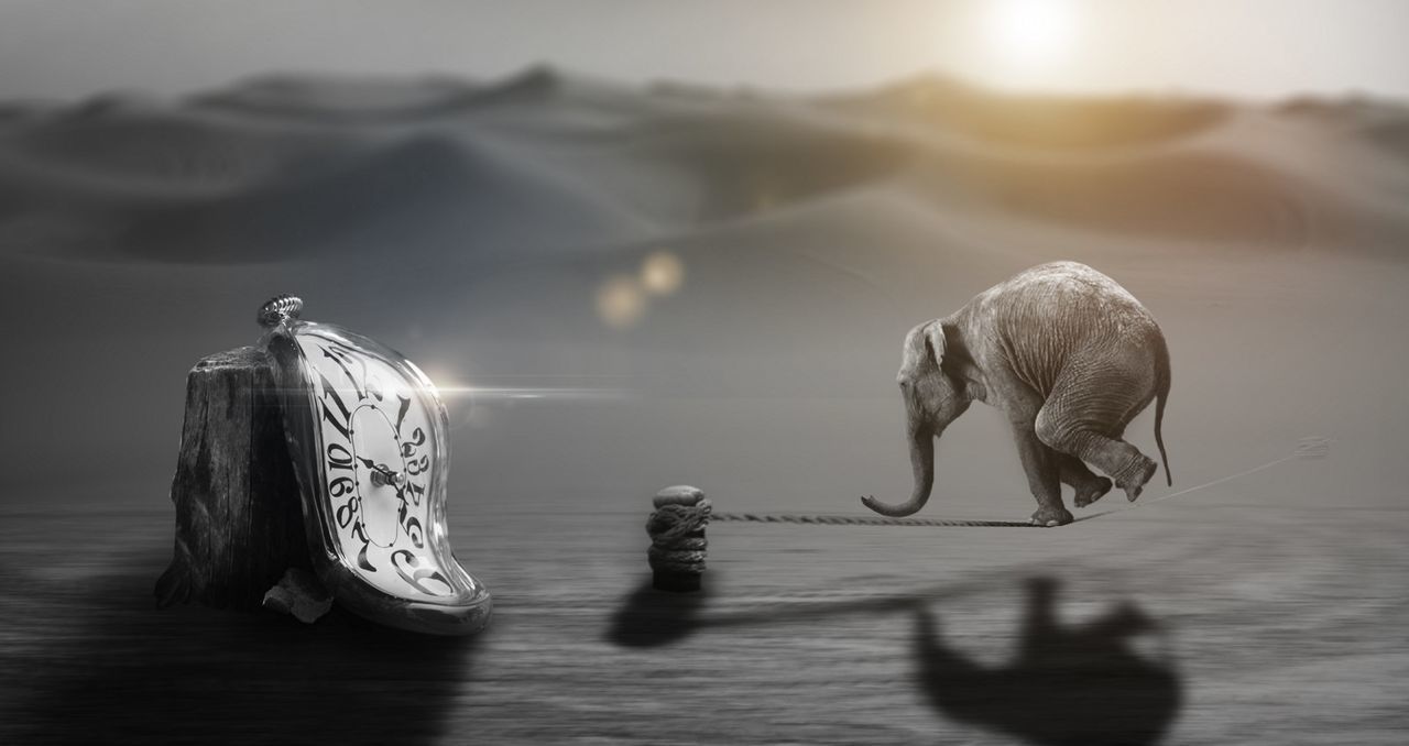 Digital composite image of elephant balancing on rope and pocket watch on wooden post