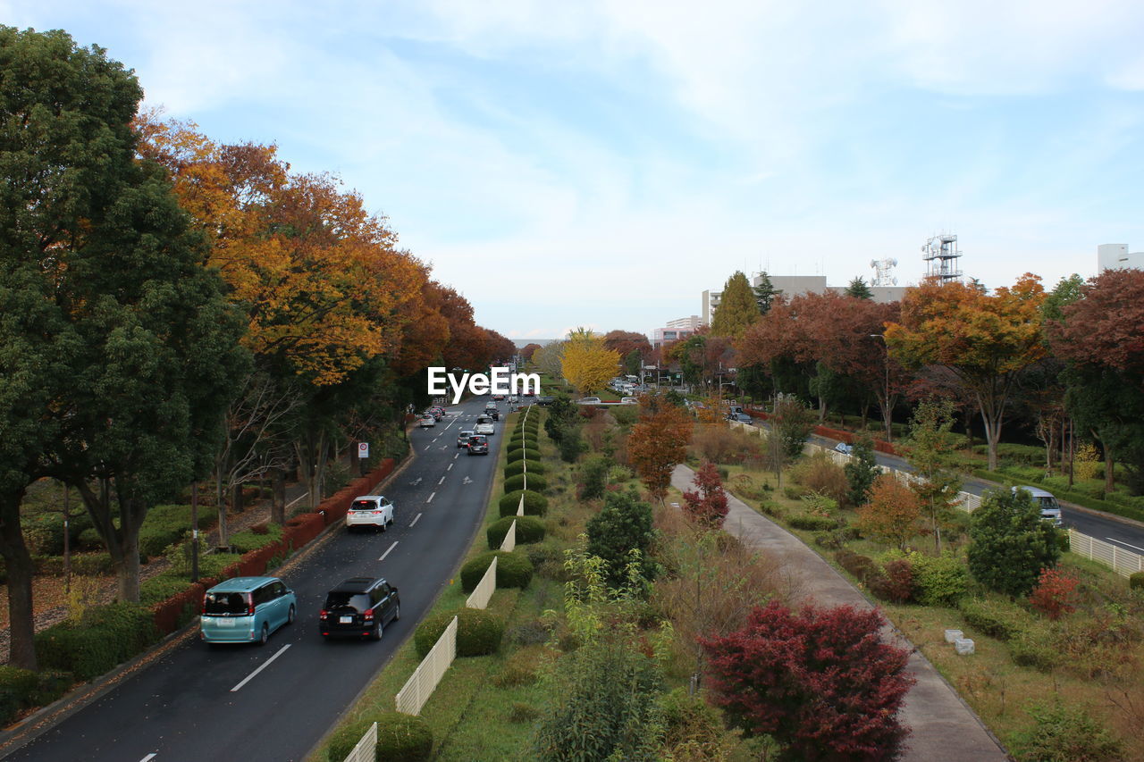 CARS ON ROAD IN CITY DURING AUTUMN