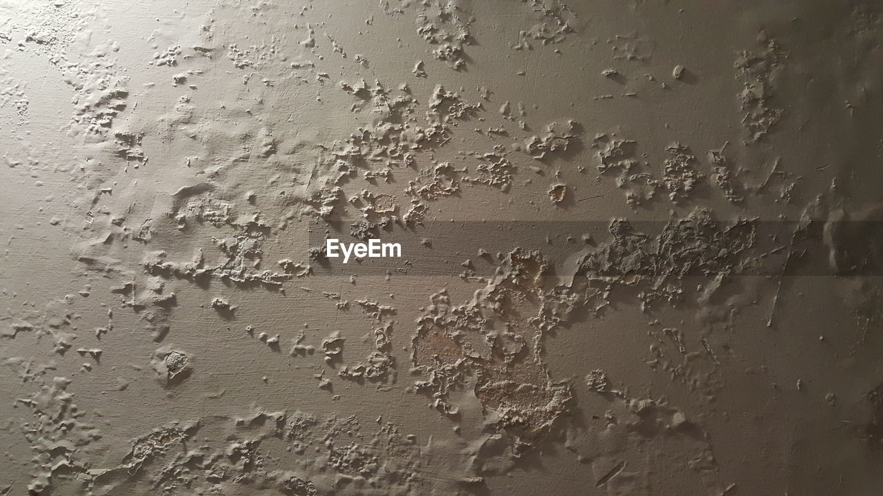 Mold on a wall