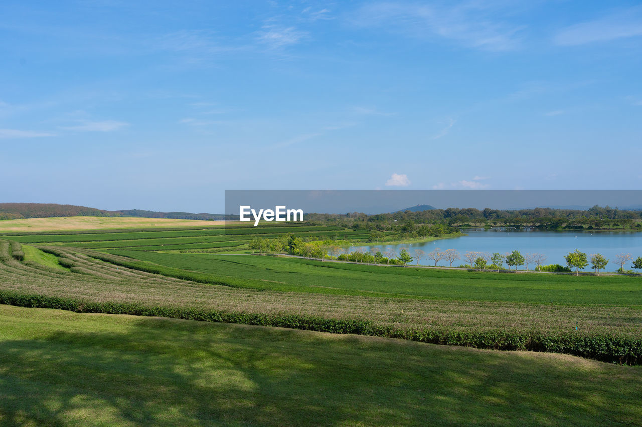 SCENIC VIEW OF AGRICULTURAL LANDSCAPE AGAINST SKY