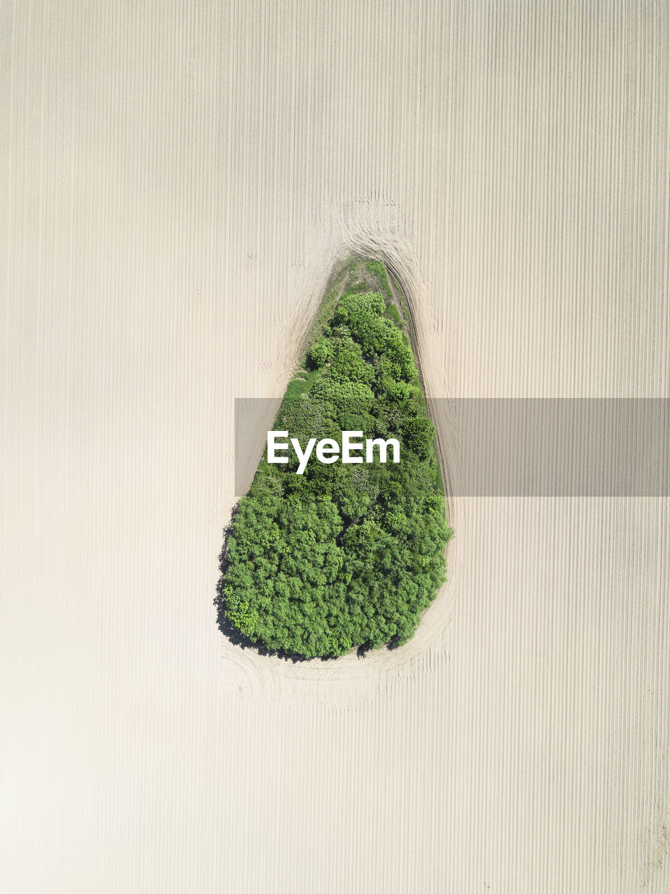 Aerial view of forest amidst agricultural field