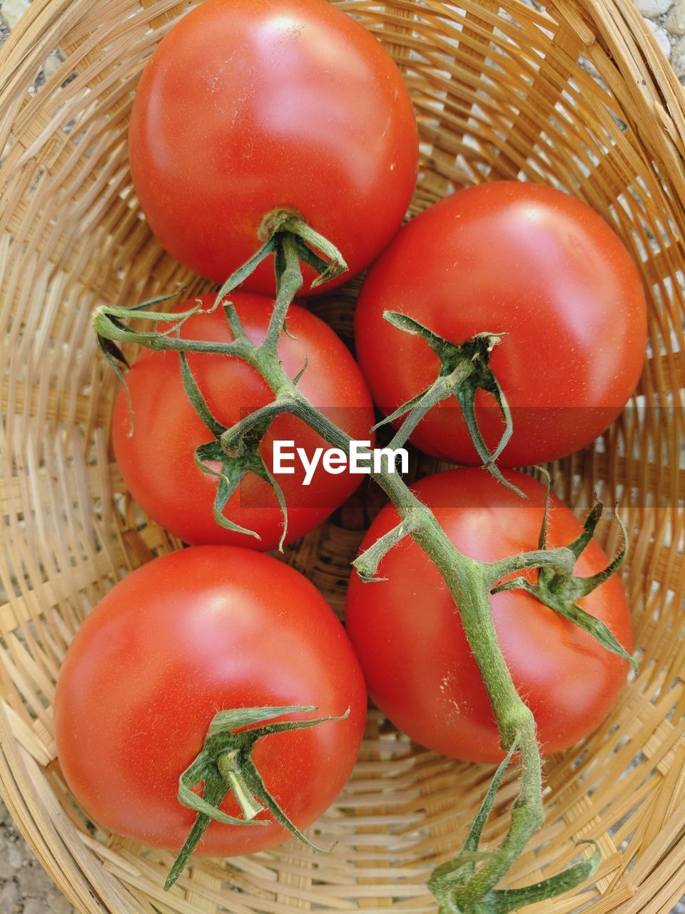 HIGH ANGLE VIEW OF TOMATOES IN WICKER BASKET