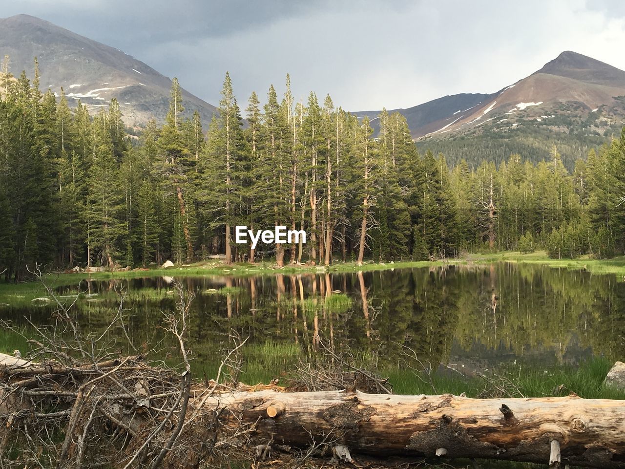 Scenic view of lake by trees in forest against sky