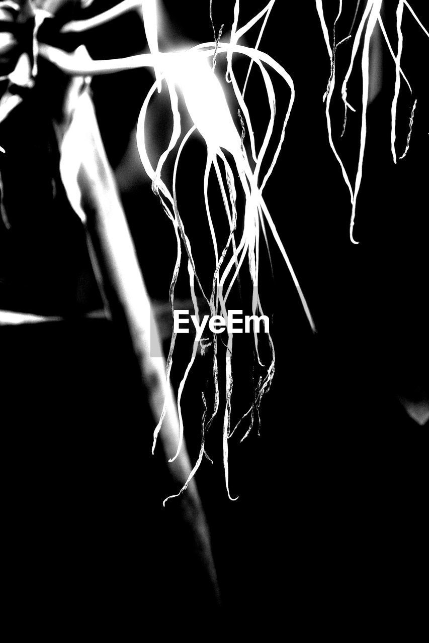 CLOSE-UP VIEW OF BLACK BACKGROUND