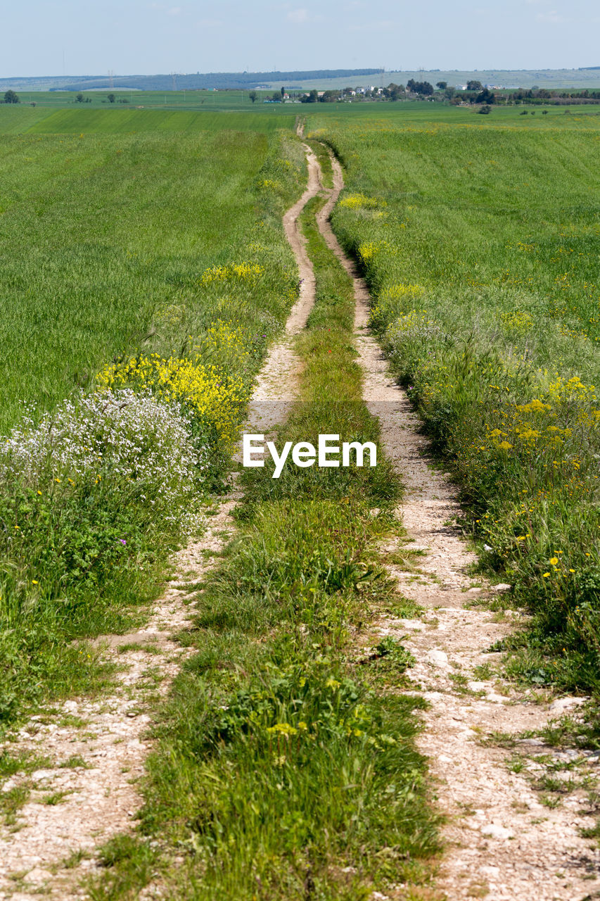 Dirt road passing through field