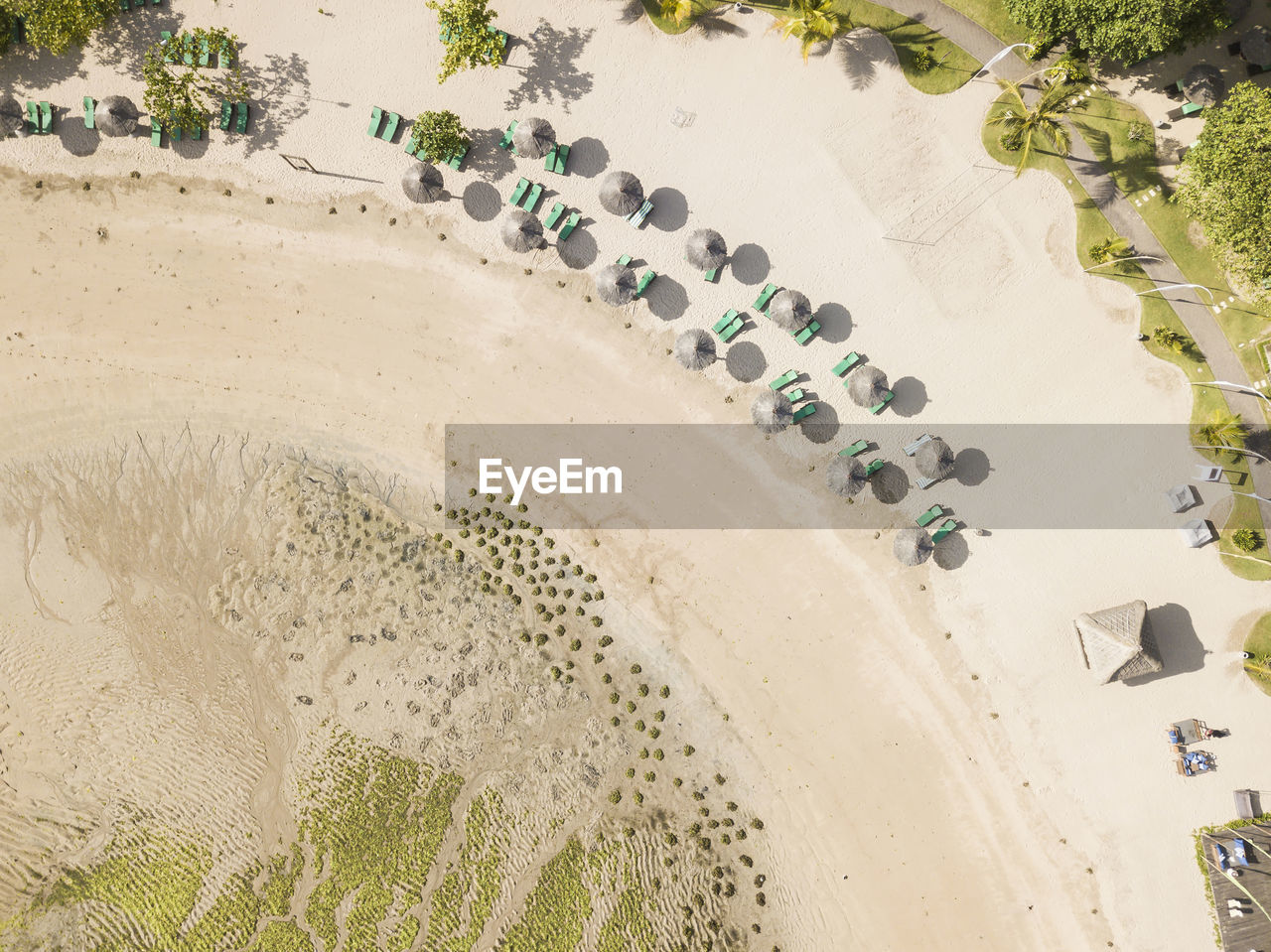 Aerial view of rows of beach umbrellas and empty deck chairs on sandy beach in summer