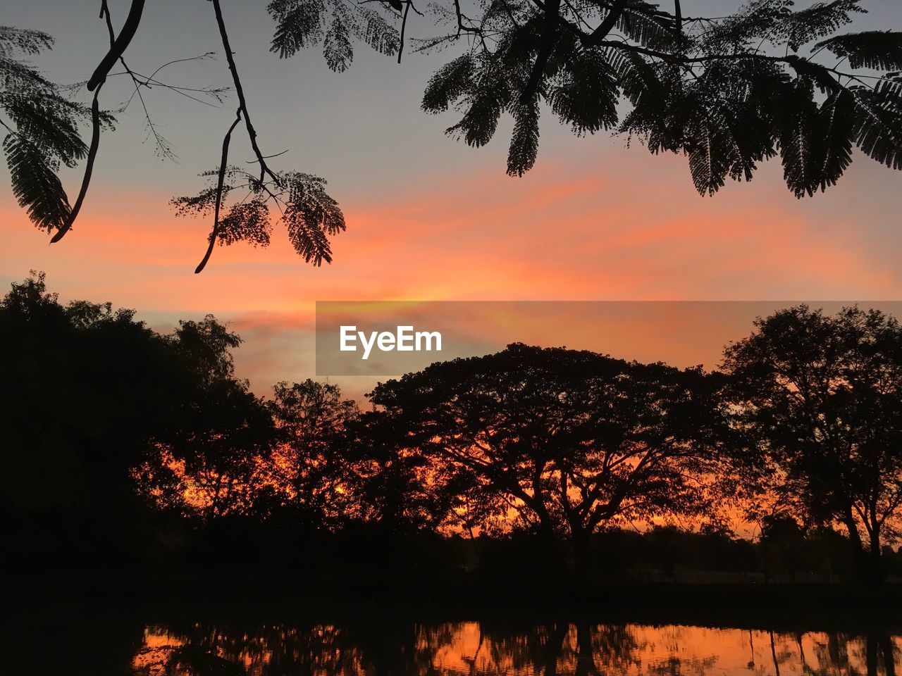 SILHOUETTE TREES BY LAKE DURING SUNSET