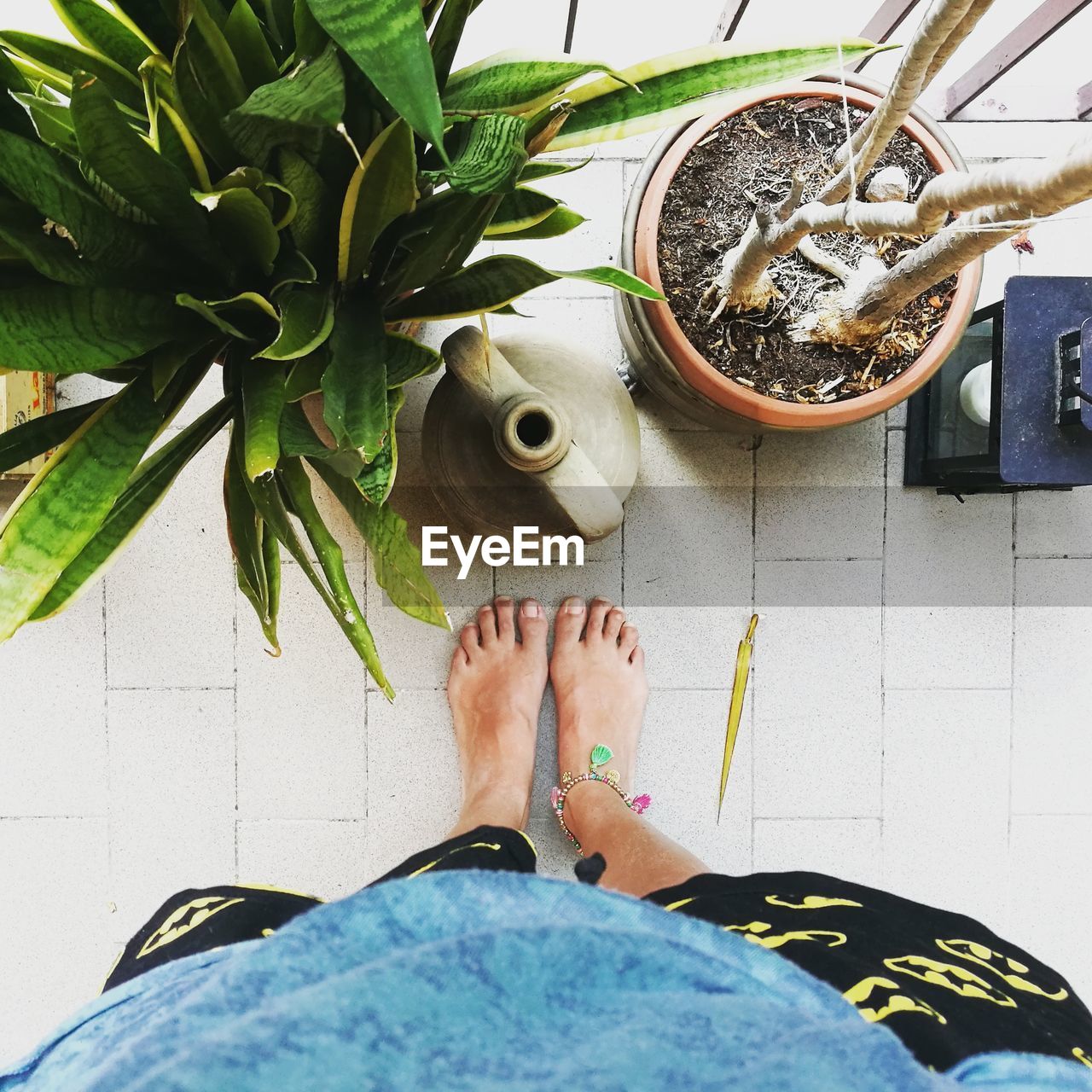 LOW SECTION OF WOMAN ON POTTED PLANT