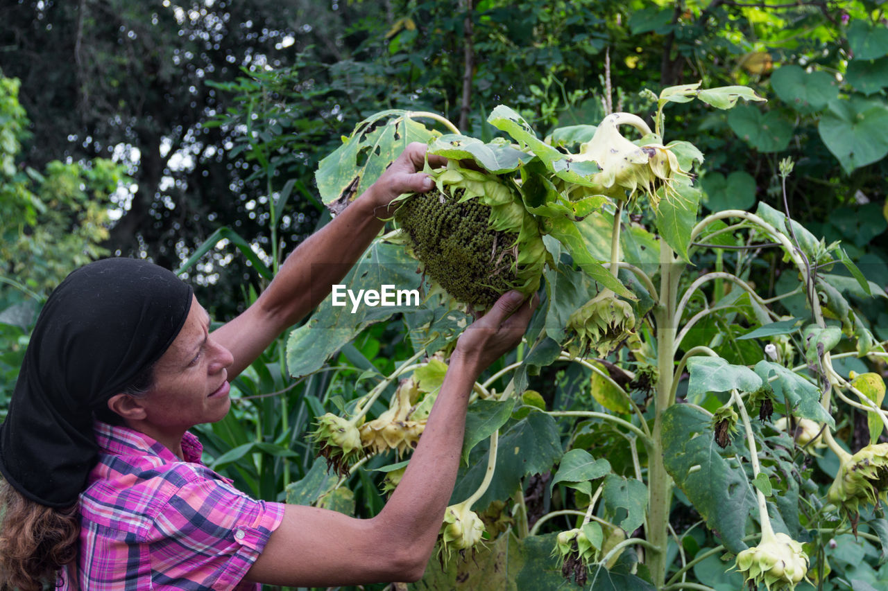 SIDE VIEW OF WOMAN HOLDING FOOD