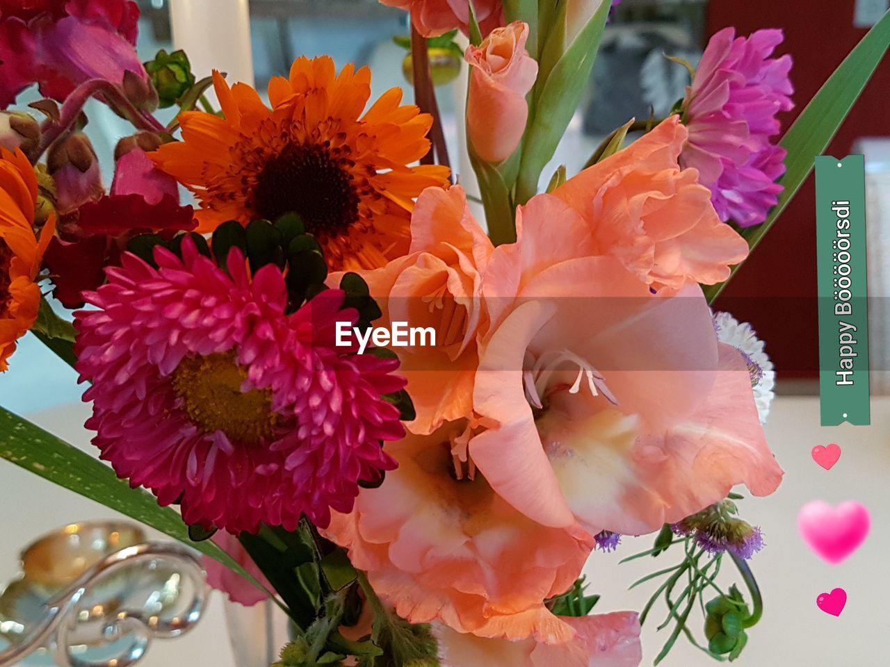 CLOSE-UP OF FLOWER BLOOMING OUTDOORS