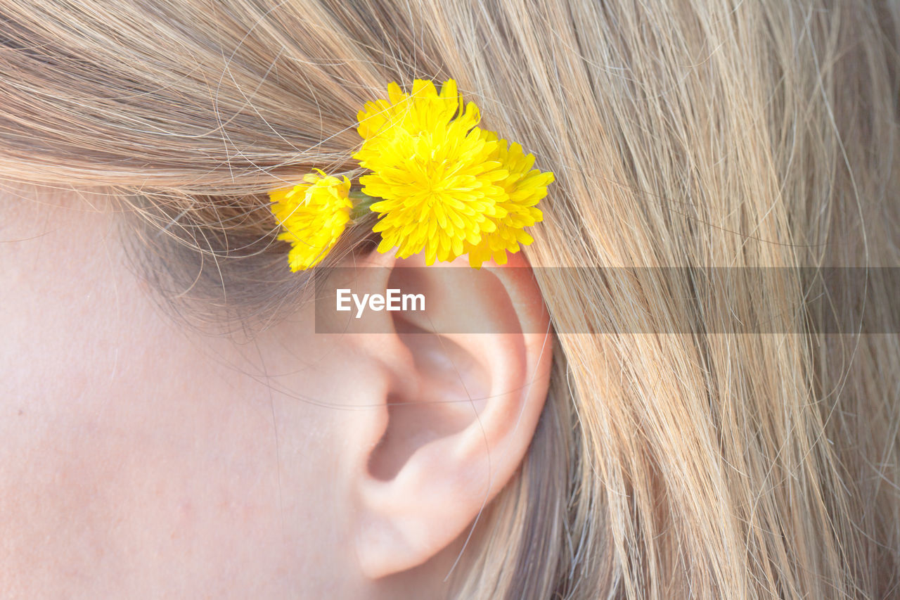 Close-up of yellow flower on hair of woman