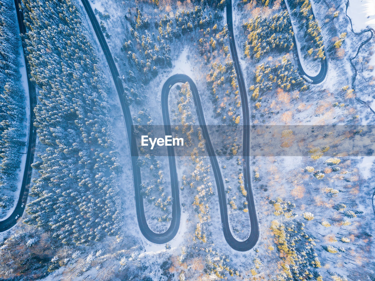 Aerial view of road amidst tree during winter