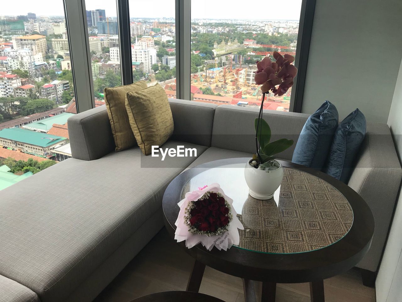 POTTED PLANT ON TABLE BY WINDOW AT HOME