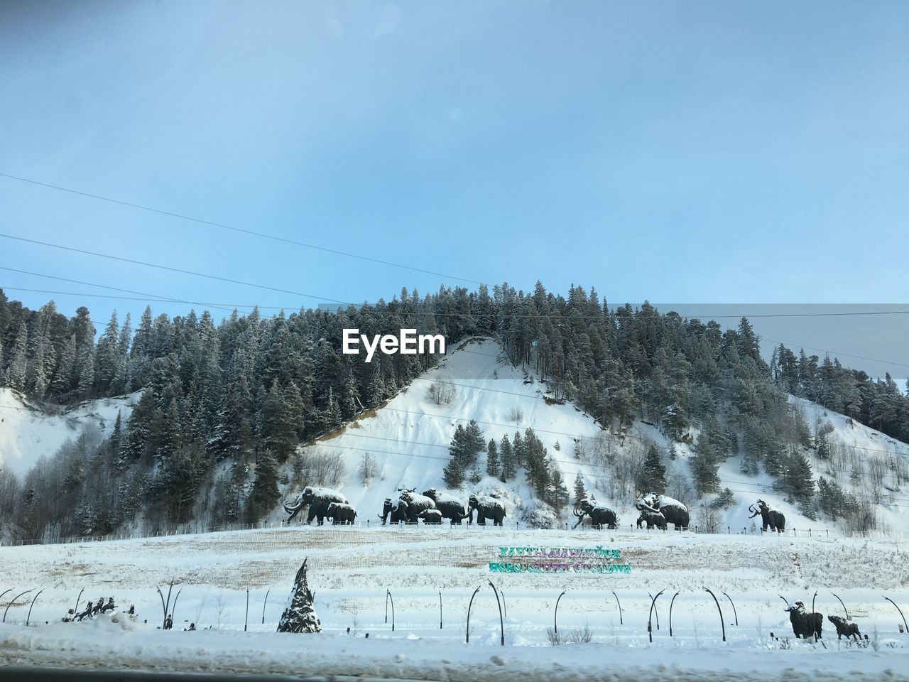 Scenic view of snow field against sky