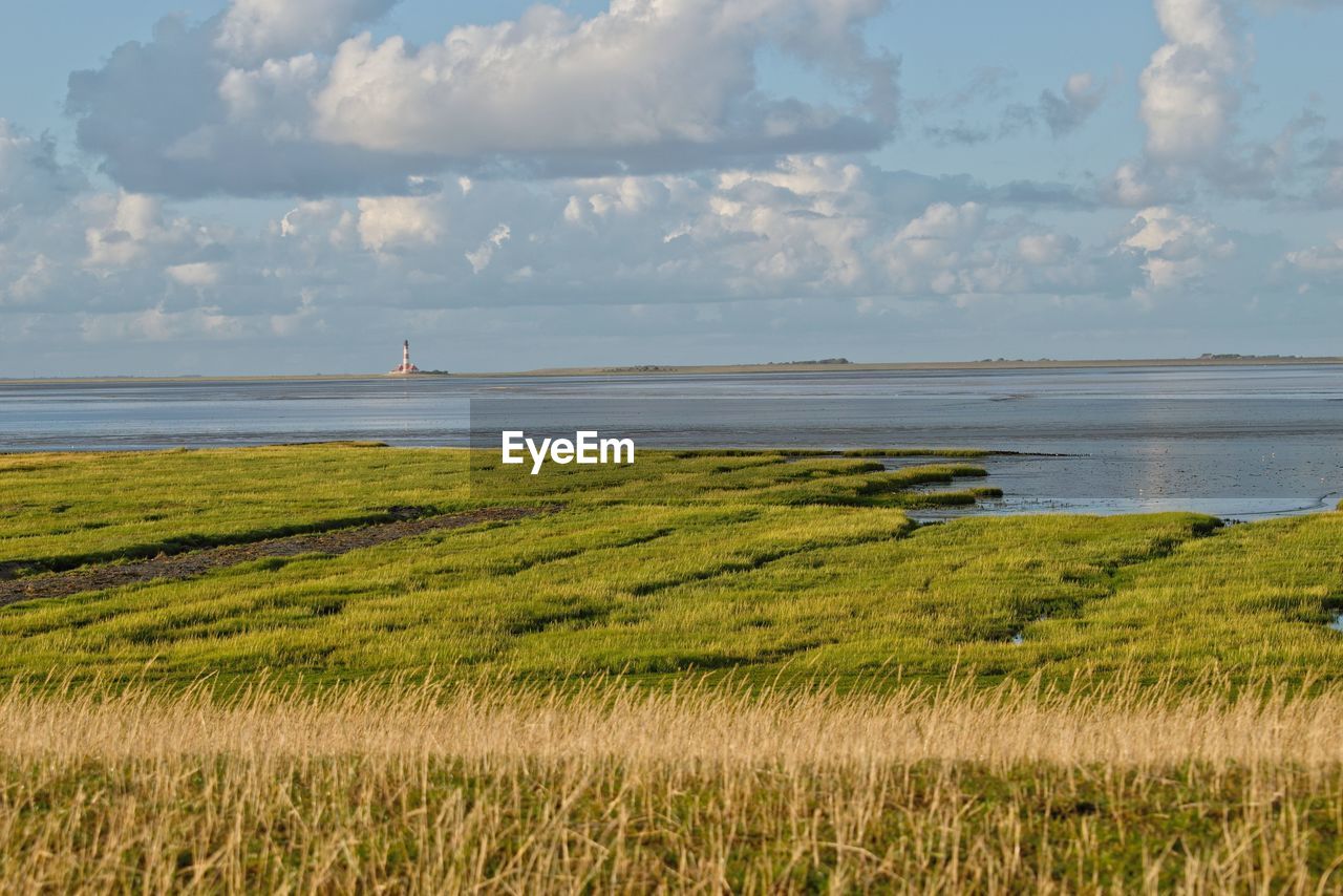 SCENIC VIEW OF LAND AGAINST SEA