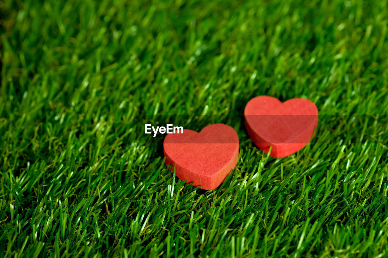 Close-up of heart shape on grass