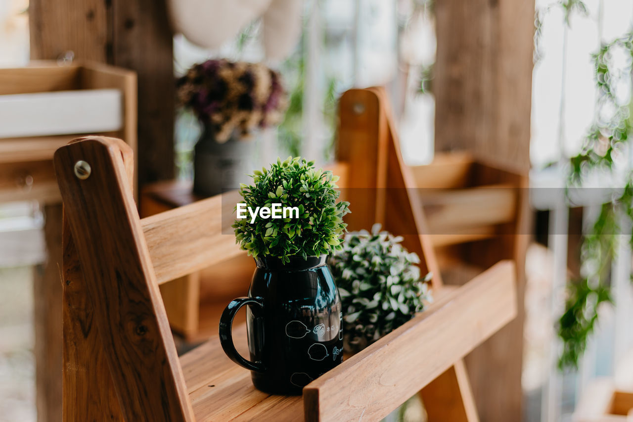 Close-up of plant with container in wooden tray on table