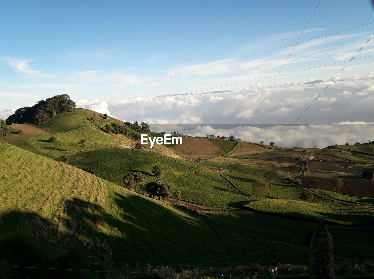 SCENIC VIEW OF FARM AGAINST SKY