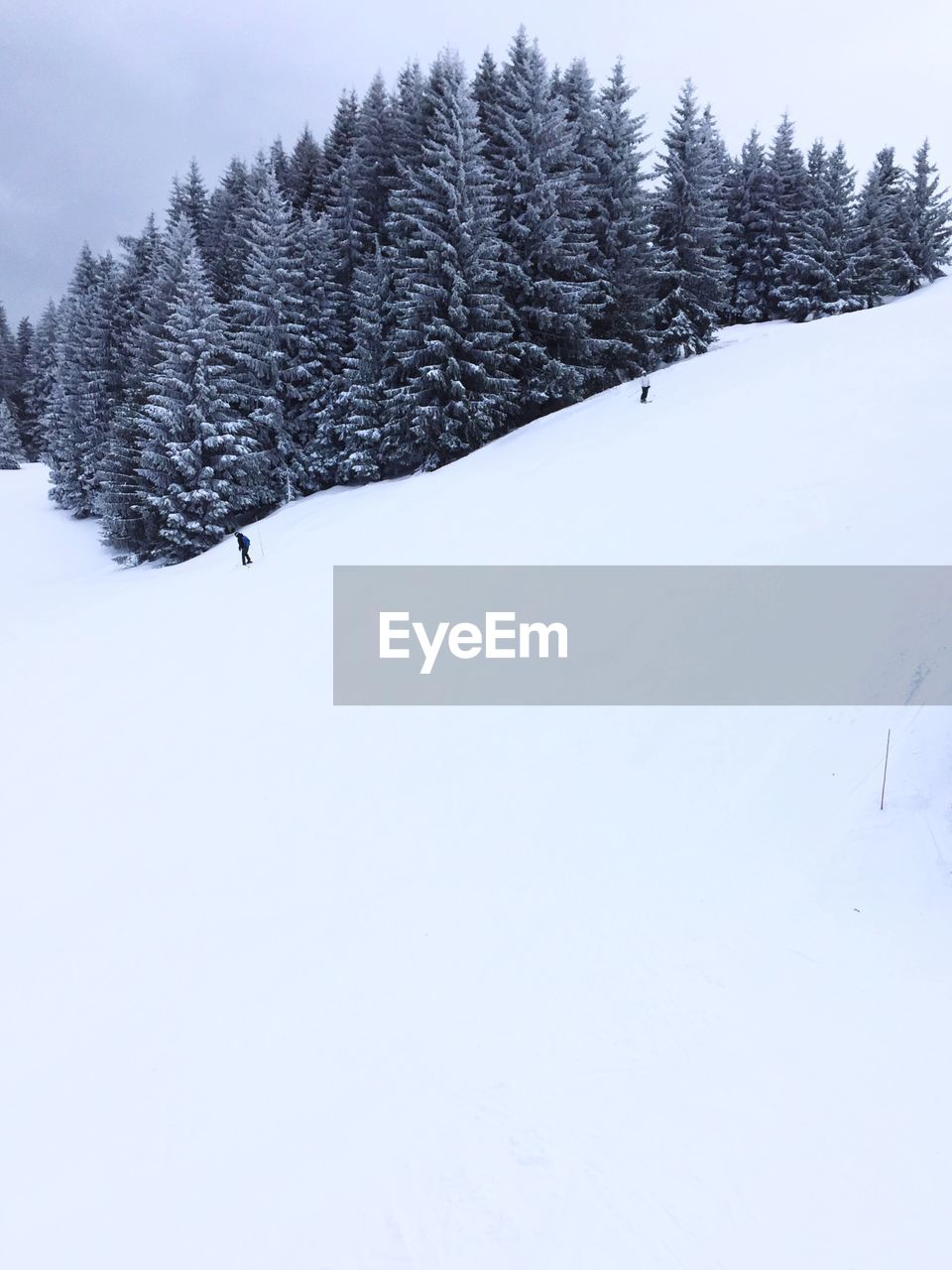 Men skiing in mountains