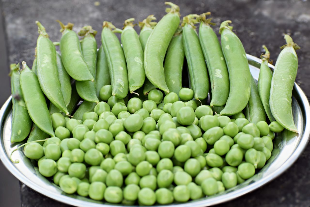 HIGH ANGLE VIEW OF VEGETABLES IN CONTAINER