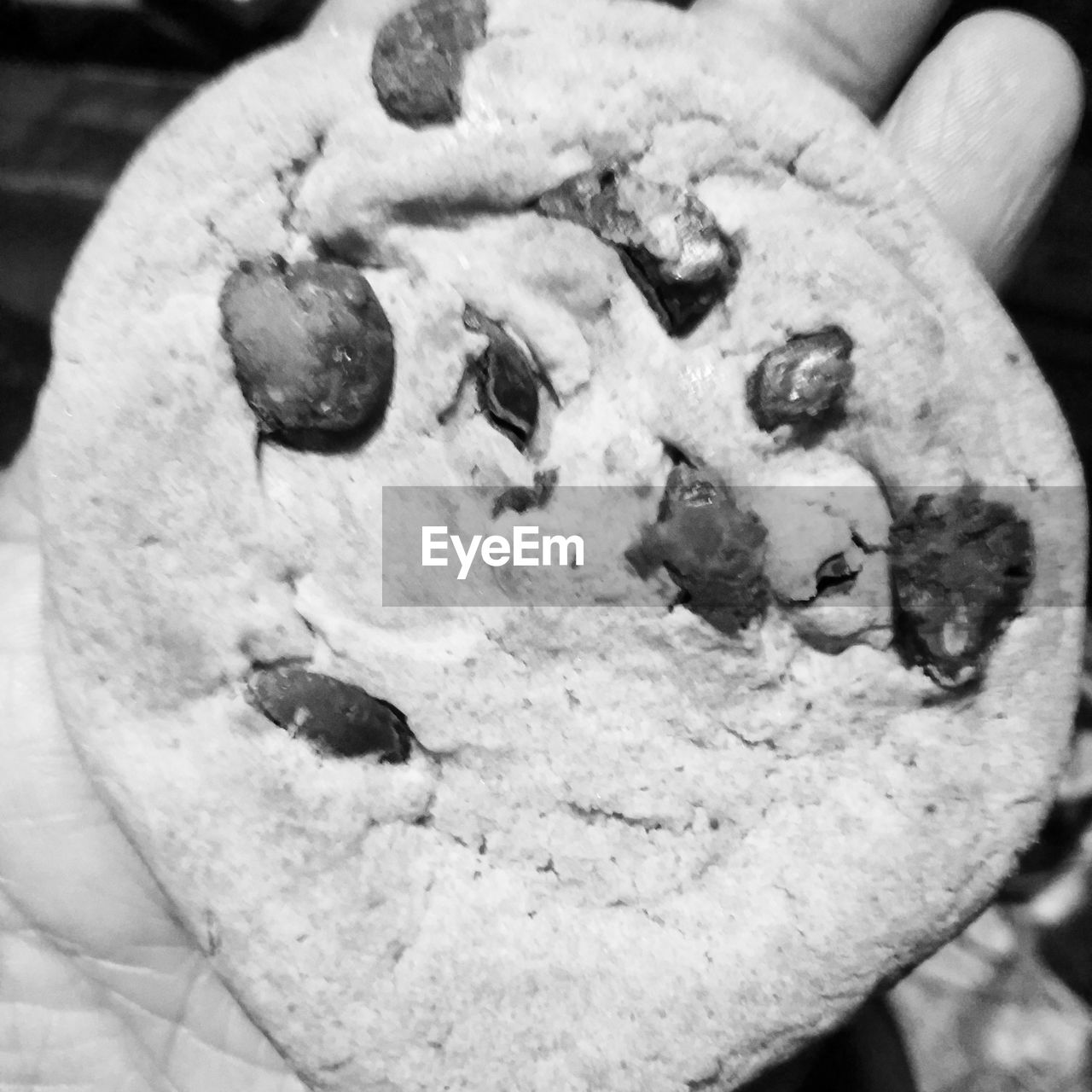 CLOSE-UP OF HAND HOLDING COOKIES IN PLATE