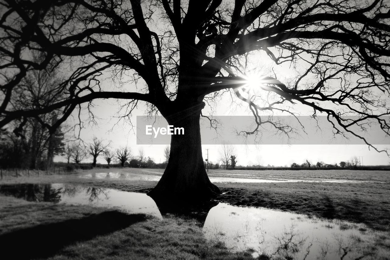 SCENIC VIEW OF SNOW COVERED LANDSCAPE AGAINST SKY