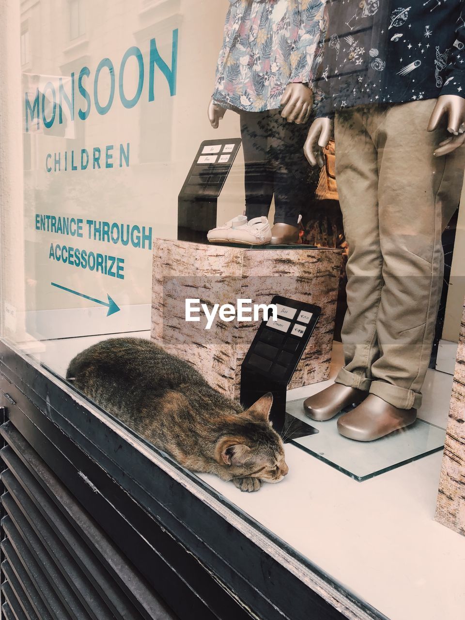 LOW SECTION OF MAN WITH CAT STANDING BY TEXT ON WALL