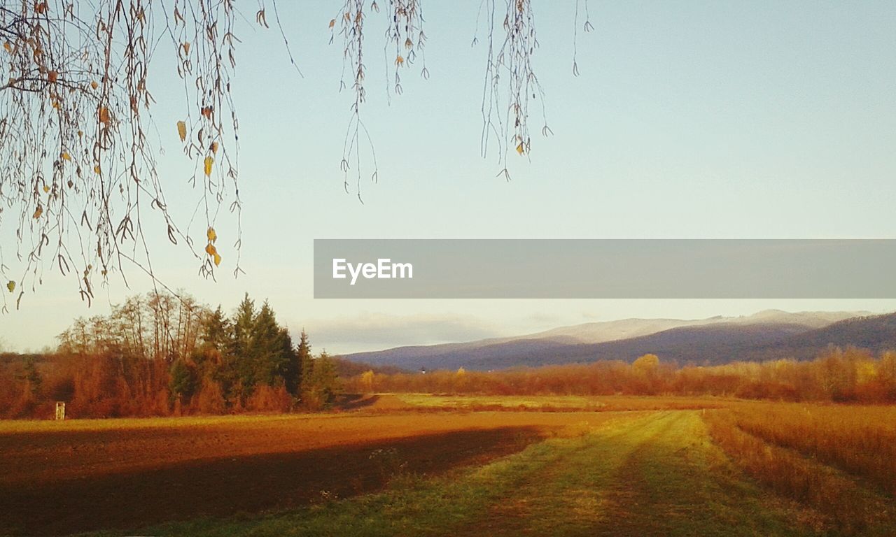 Scenic view of grassy landscape against sky