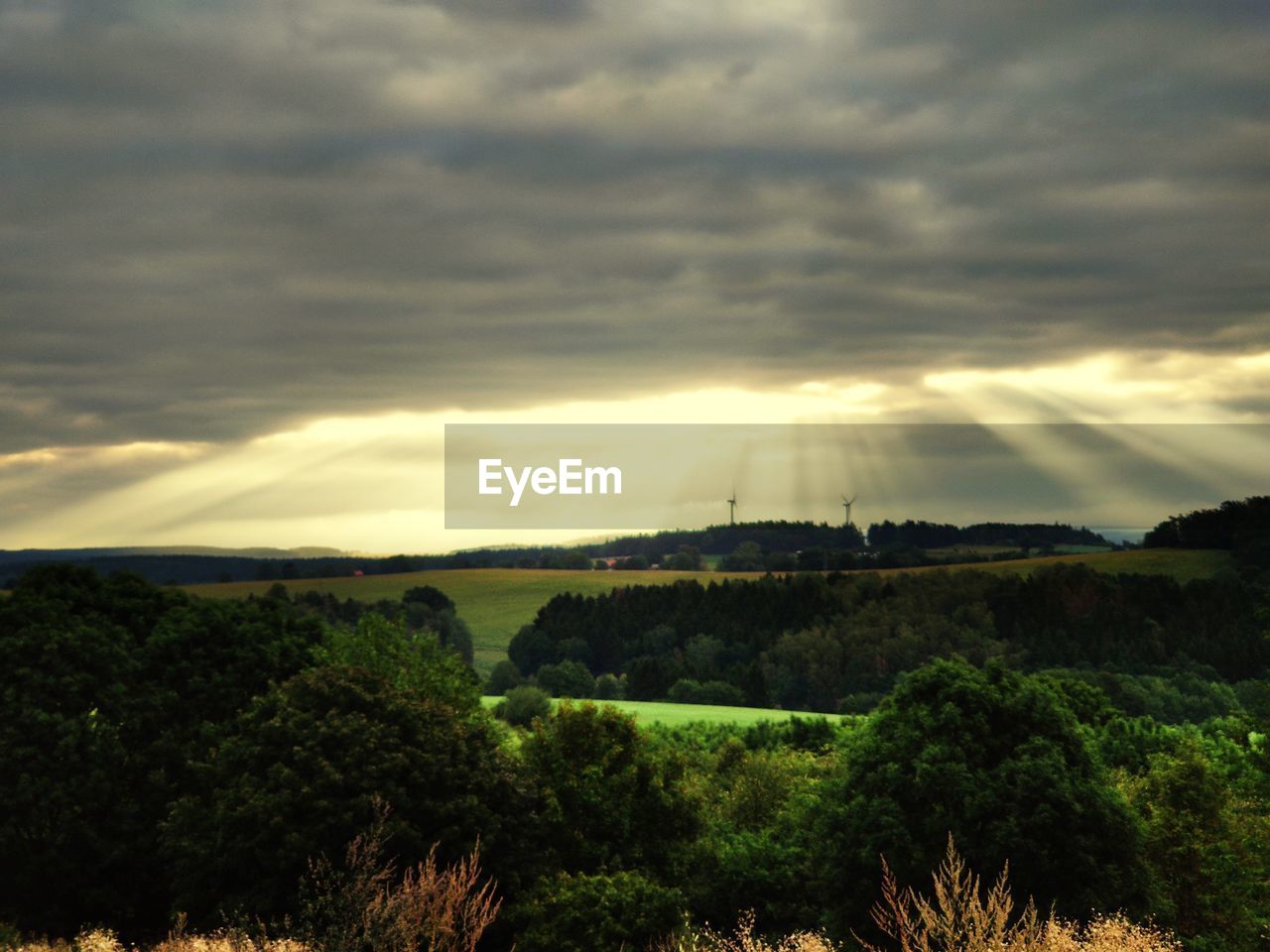 SCENIC VIEW OF TREES ON FIELD AGAINST SKY