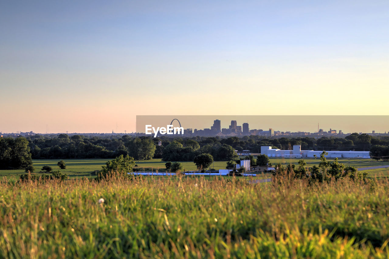 Scenic view of field against clear sky during sunset