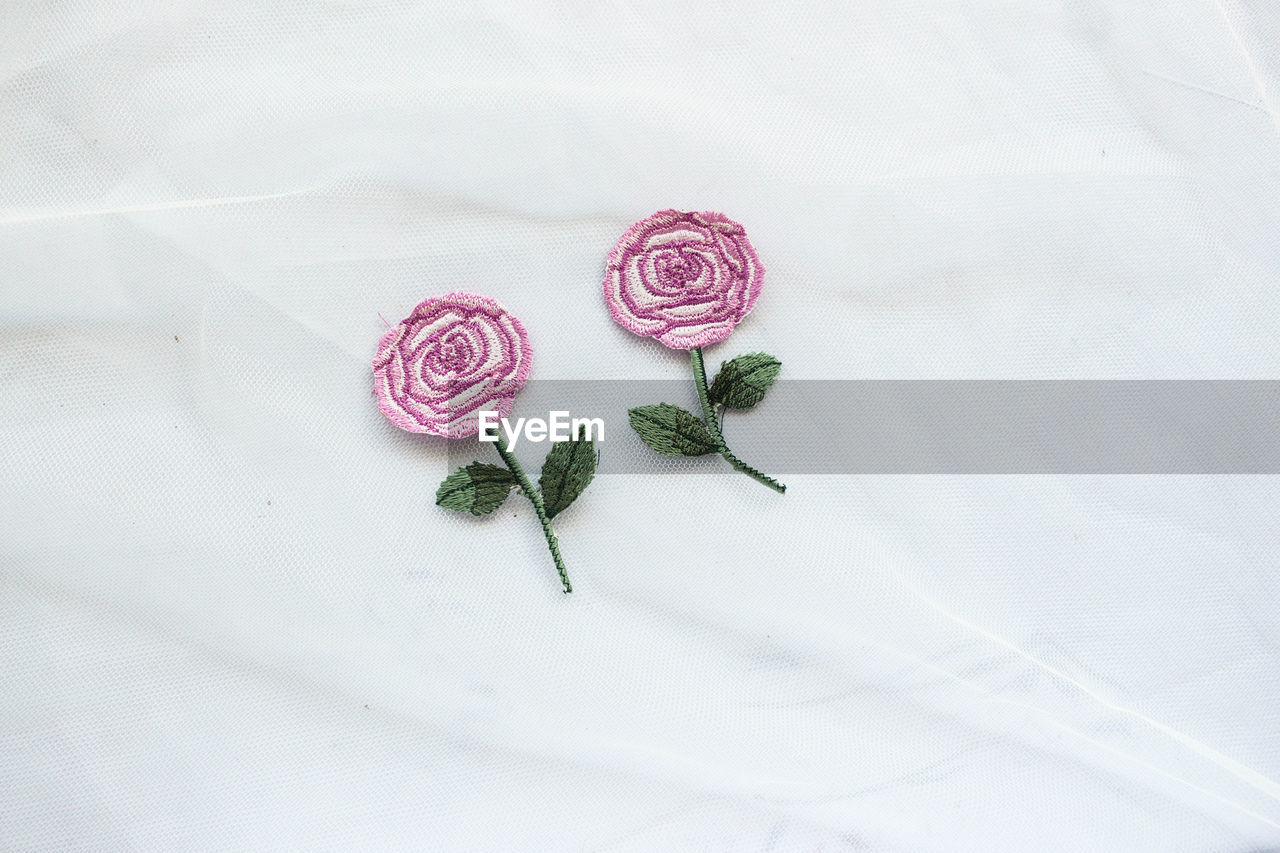 HIGH ANGLE VIEW OF ROSE ON WHITE TABLE