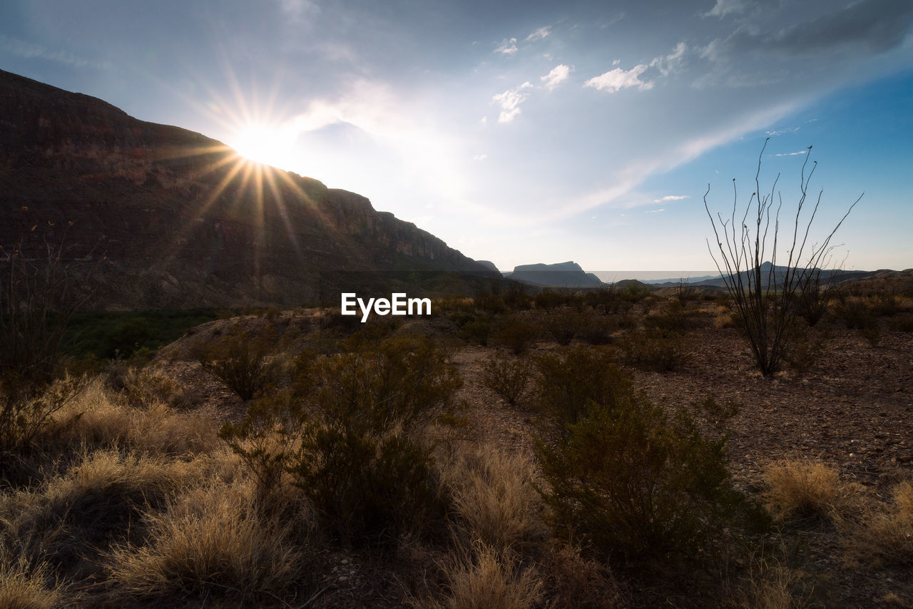 Scenic view of landscape against sky during sunset