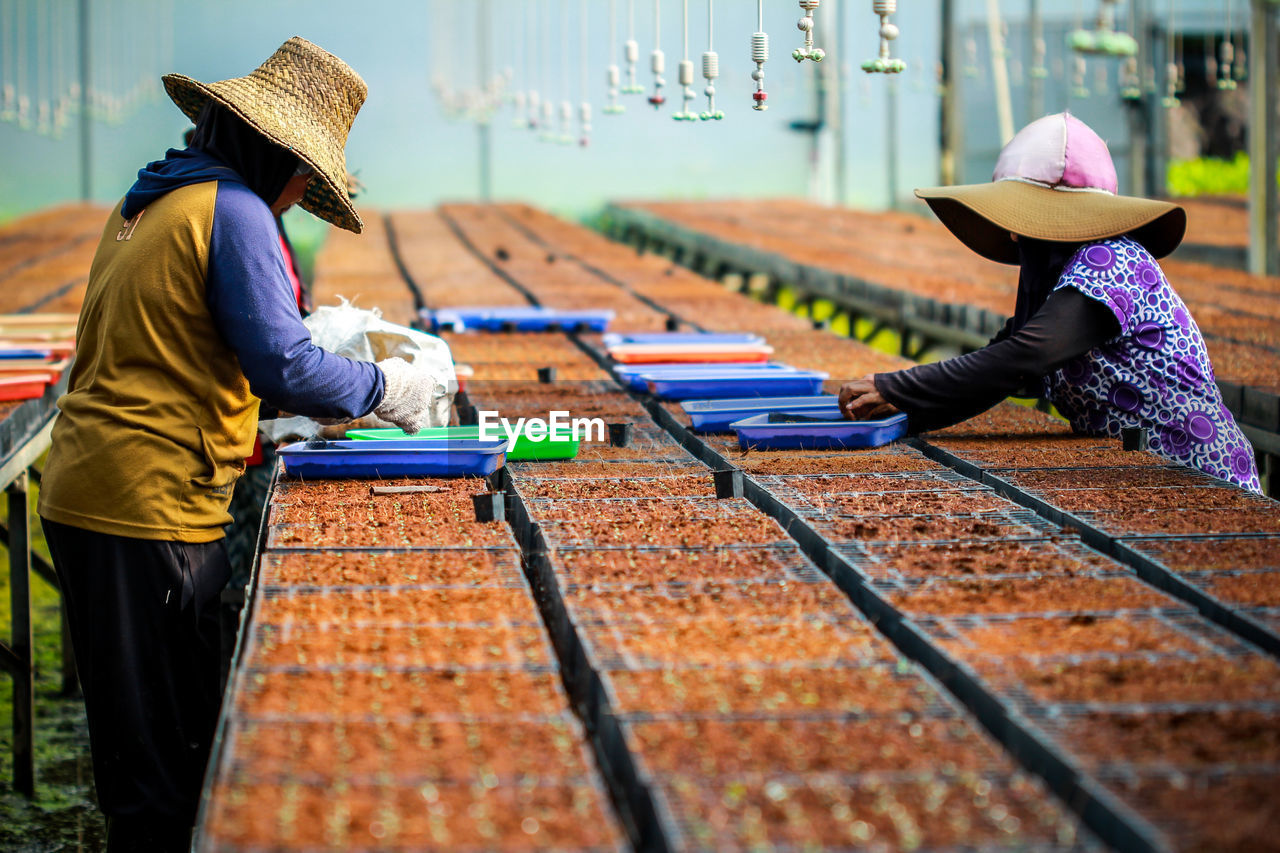 Women working on field